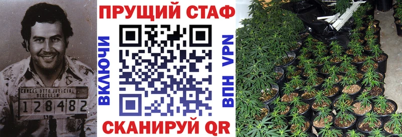 А ПВП Пласт