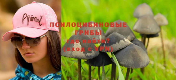 МДПВ Нея