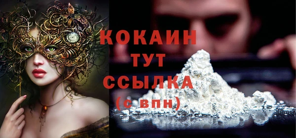 МДПВ Нея