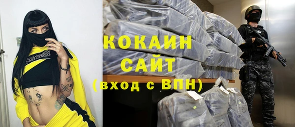 МДПВ Нея