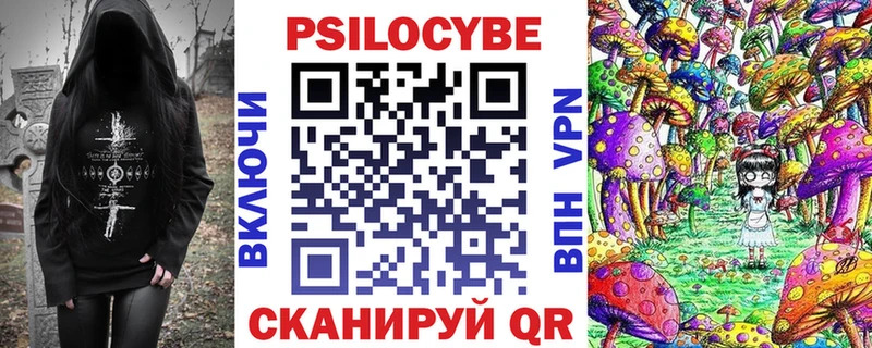 Галлюциногенные грибы Psilocybe Пласт